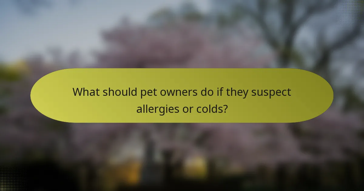 What should pet owners do if they suspect allergies or colds?
